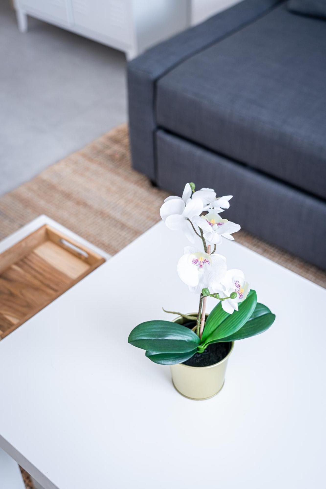 Le Cool Plex Duplex Avec Jardin, Disney 10Mn Esbly Eksteriør bilde